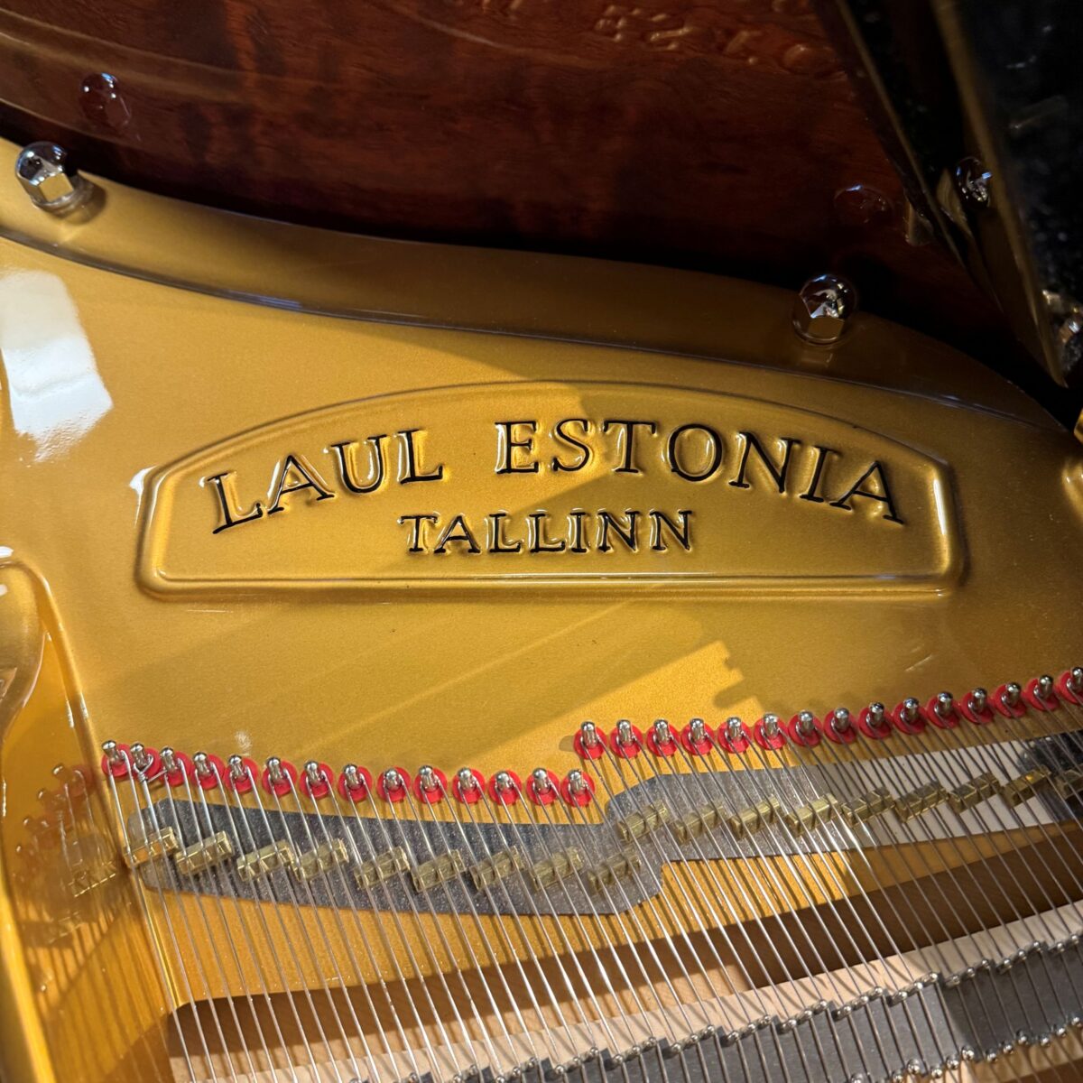 Estonia L168 Hidden Beauty Silent Grand