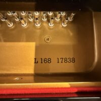 Estonia L168 Hidden Beauty Silent Grand