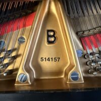 Steinway & Sons Model B Grand
