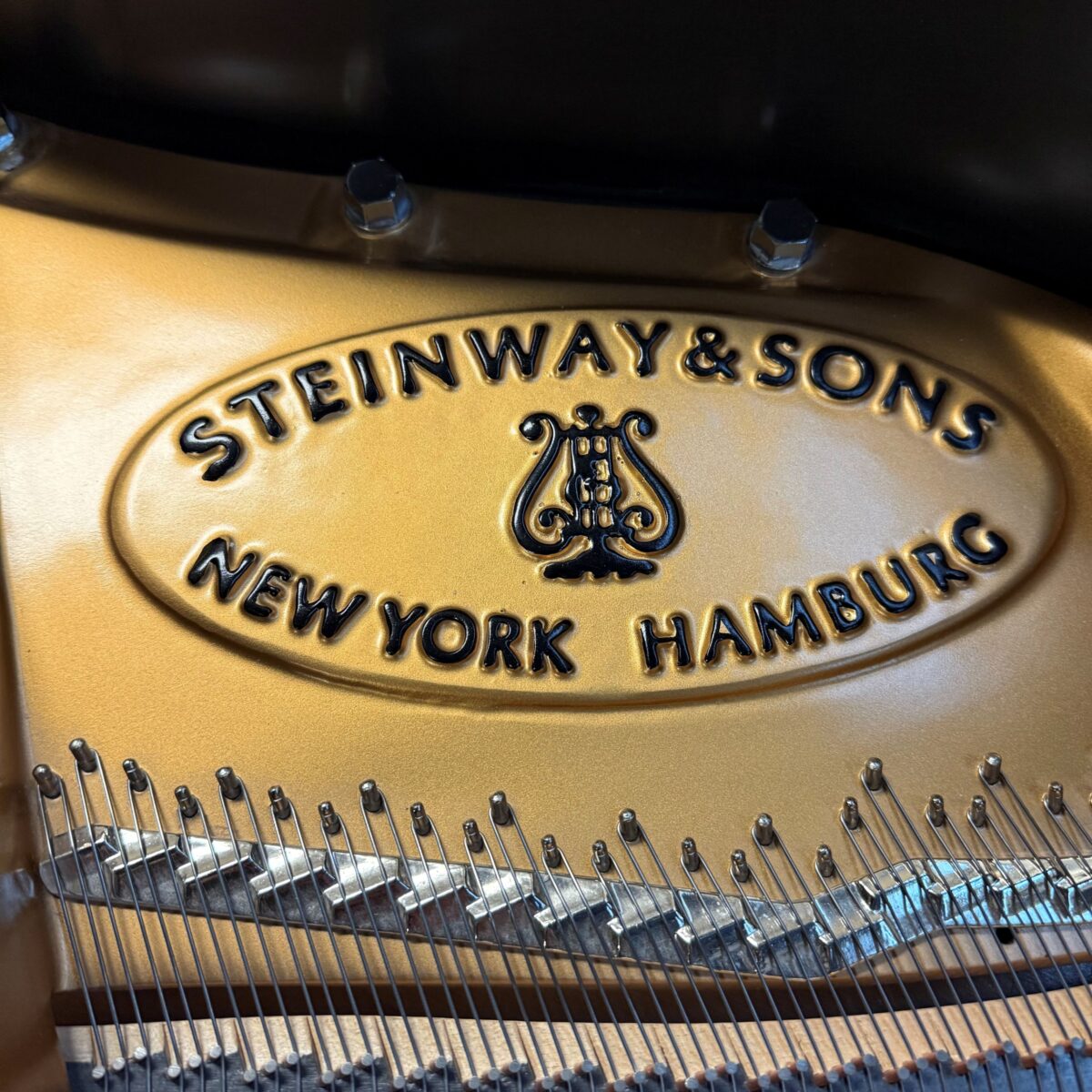 Steinway & Sons Model B Grand